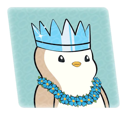 First Section Card 3